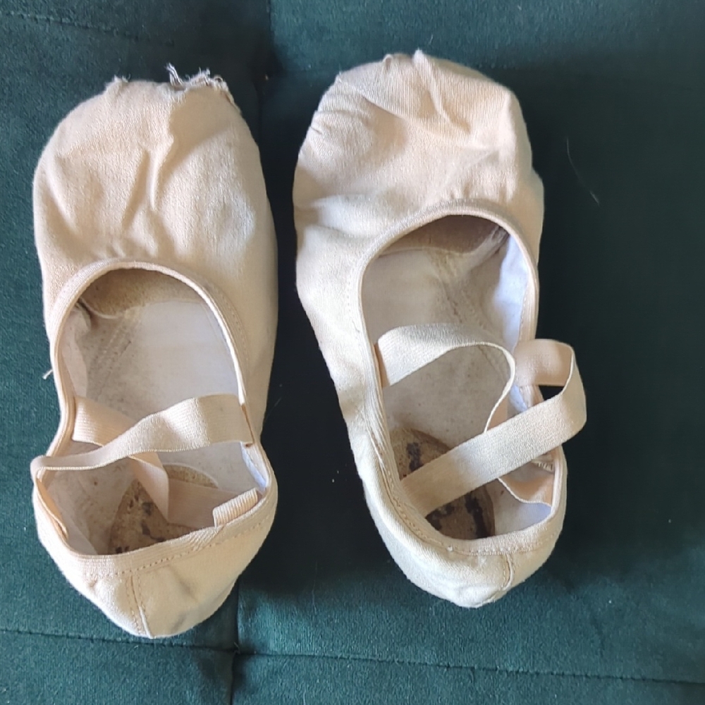 Used Tan Ballet Flats with Straps